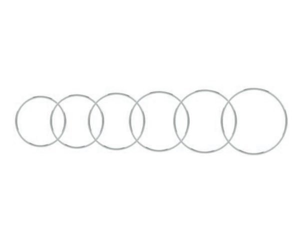 SCLERAL FIXATION RING